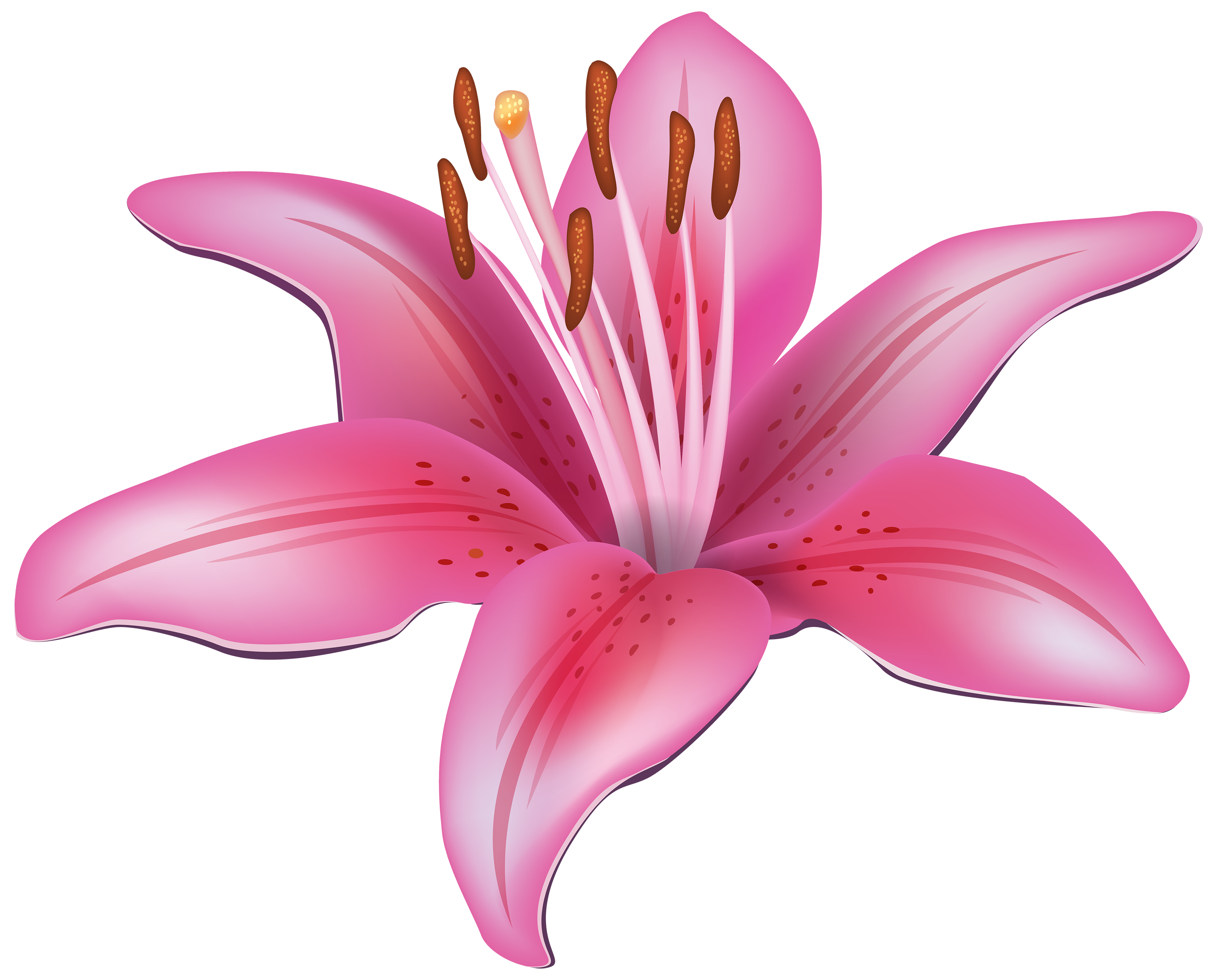 Add a Lilly!